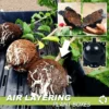 Boîtes pour plantes à superposition d'air 3 pièces