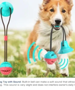 The Chewy Ball - Jouet pour le nettoyage des dents