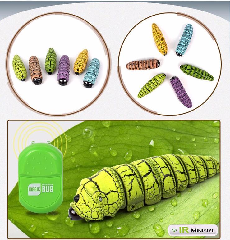 Insecte magique - Image 2