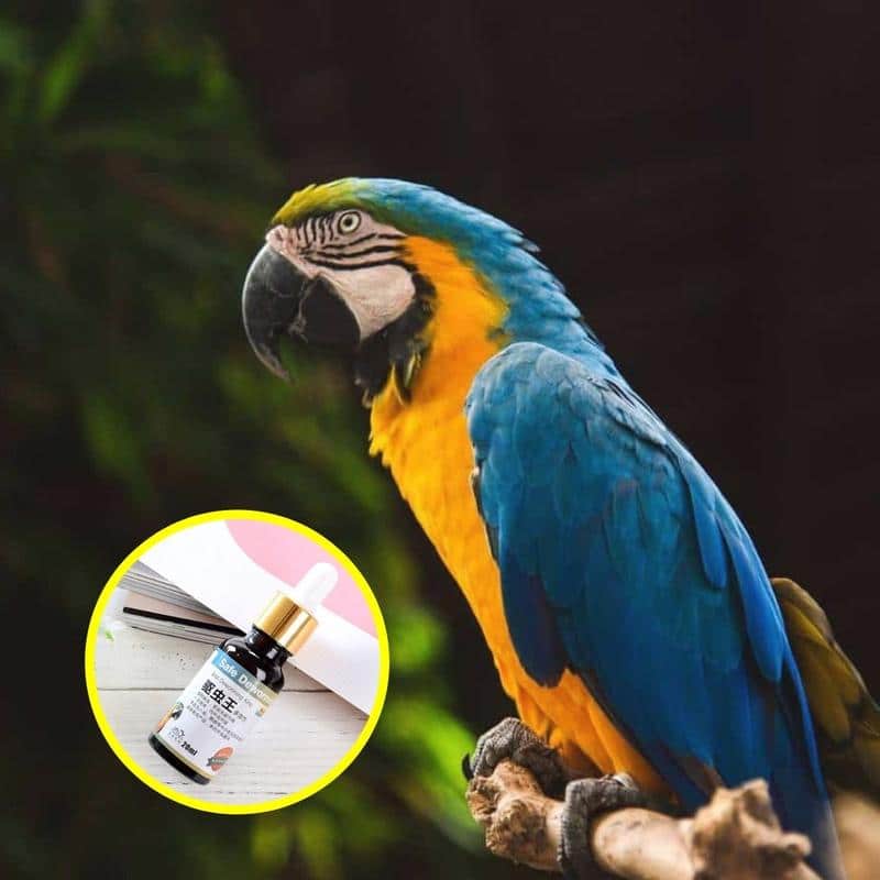 Vermifuge pour oiseaux PlantGenic - Image 3