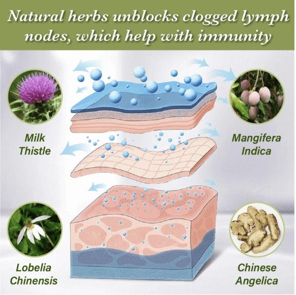 Patch de soin lymphatique Biolita (5/10/20 pcs) - Image 3