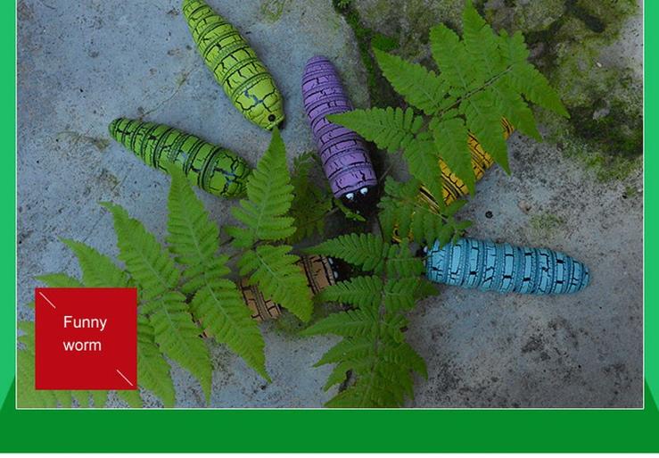 Insecte magique - Image 5