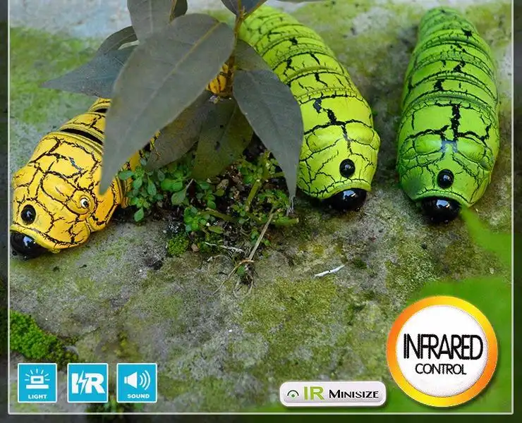 Insecte magique - Image 6