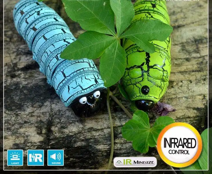 Insecte magique - Image 7