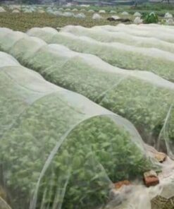 Barrière antiparasitaire