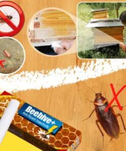 Insecticide anti-cafards Beehive+