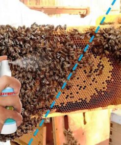 Spray leurre BeezyBees