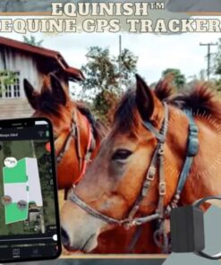 Traqueur GPS équin Equinish
