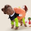 Tenue d'Halloween Poochy Citrouille